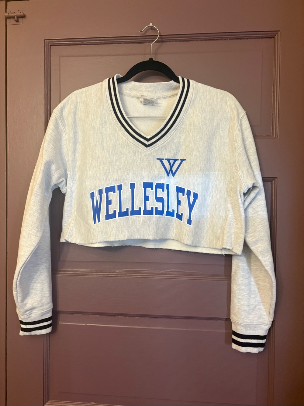 Women’s Champion cropped Wellesley sweatshirt XS